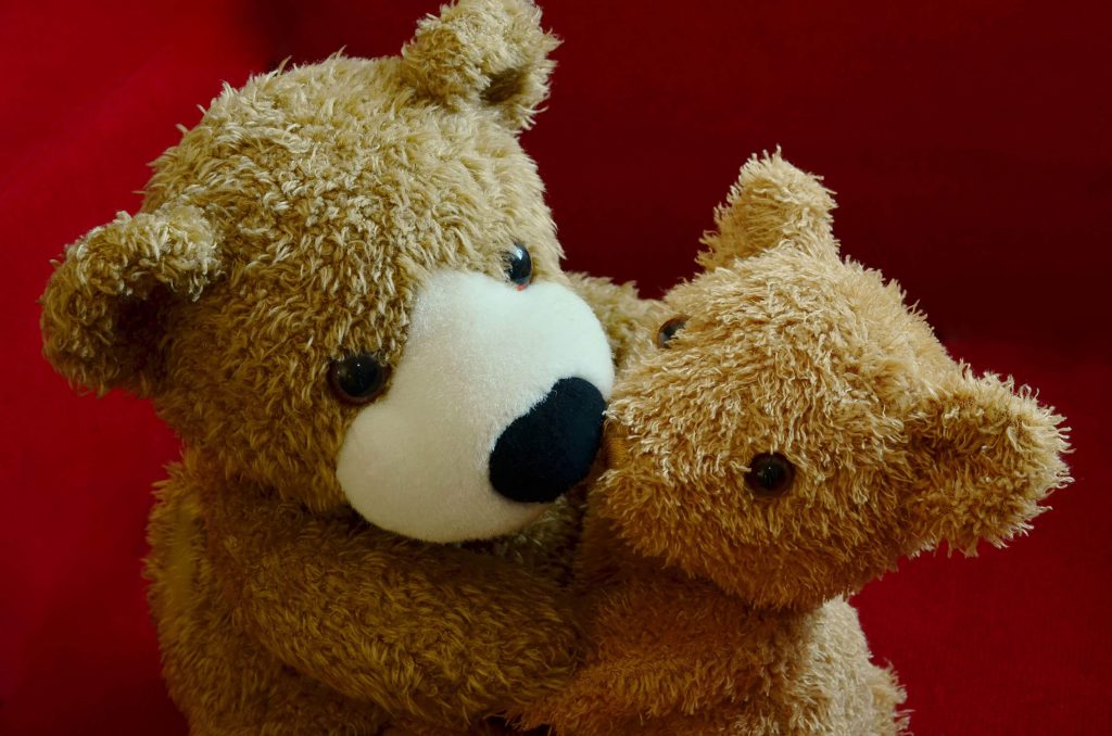 Teddy
